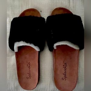 Size 10 Splendid Slip Ons